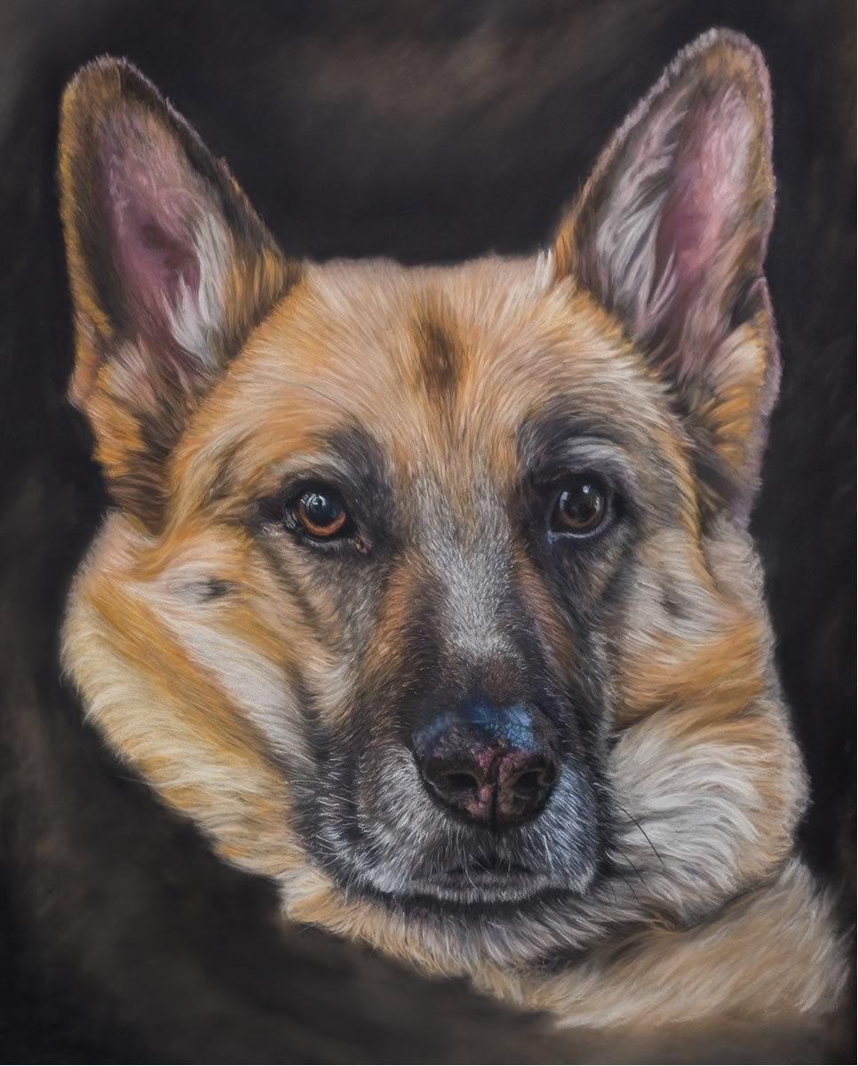 Ben 'German Shepherd'