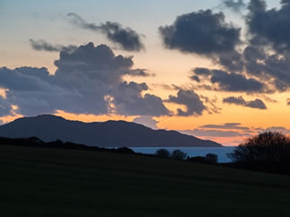 Evening Walk With The Dogs Image