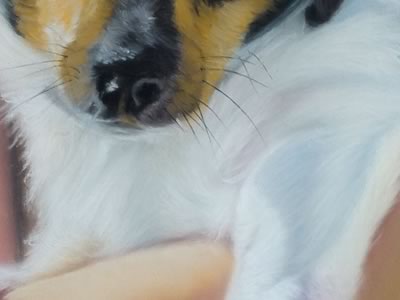 Girl Jack Russell Chalk Pastel Painting 4