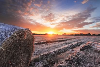 Hay Bales After Sunrise