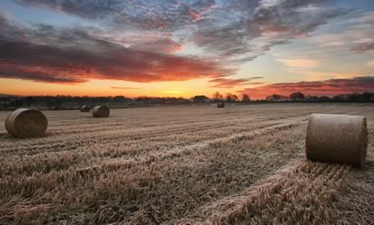 Hay Bales Before Sunrise