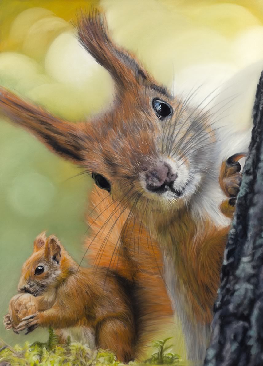 Red Squirrels