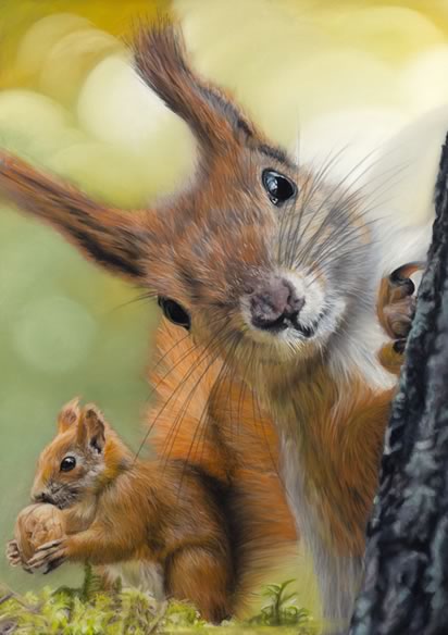 Red Squirrels