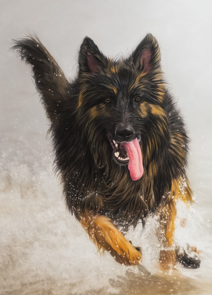 German Shepherd Running Through The Sea