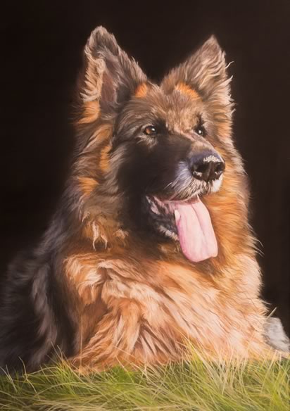 Teisha 'German Shepherd' 